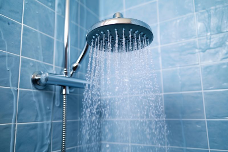 Luxurious Rain Shower Head